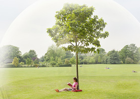 1f6cd0006e37ea162fb5696993b8baf3