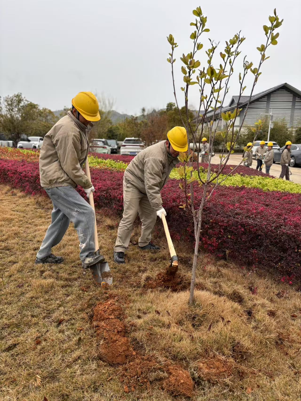 06579439ba424f614bb993eca48d6acd