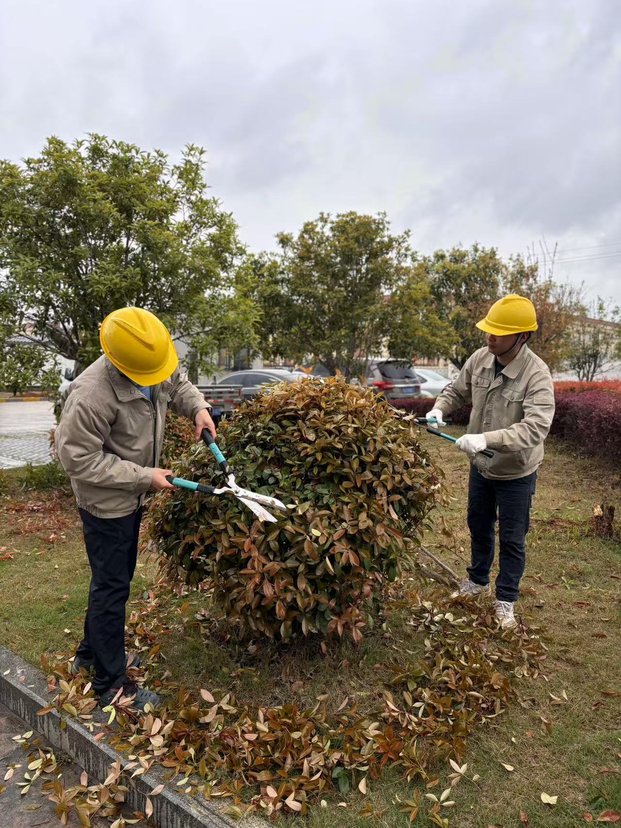 615b79ba1f320ac7b634f667a2f1020b