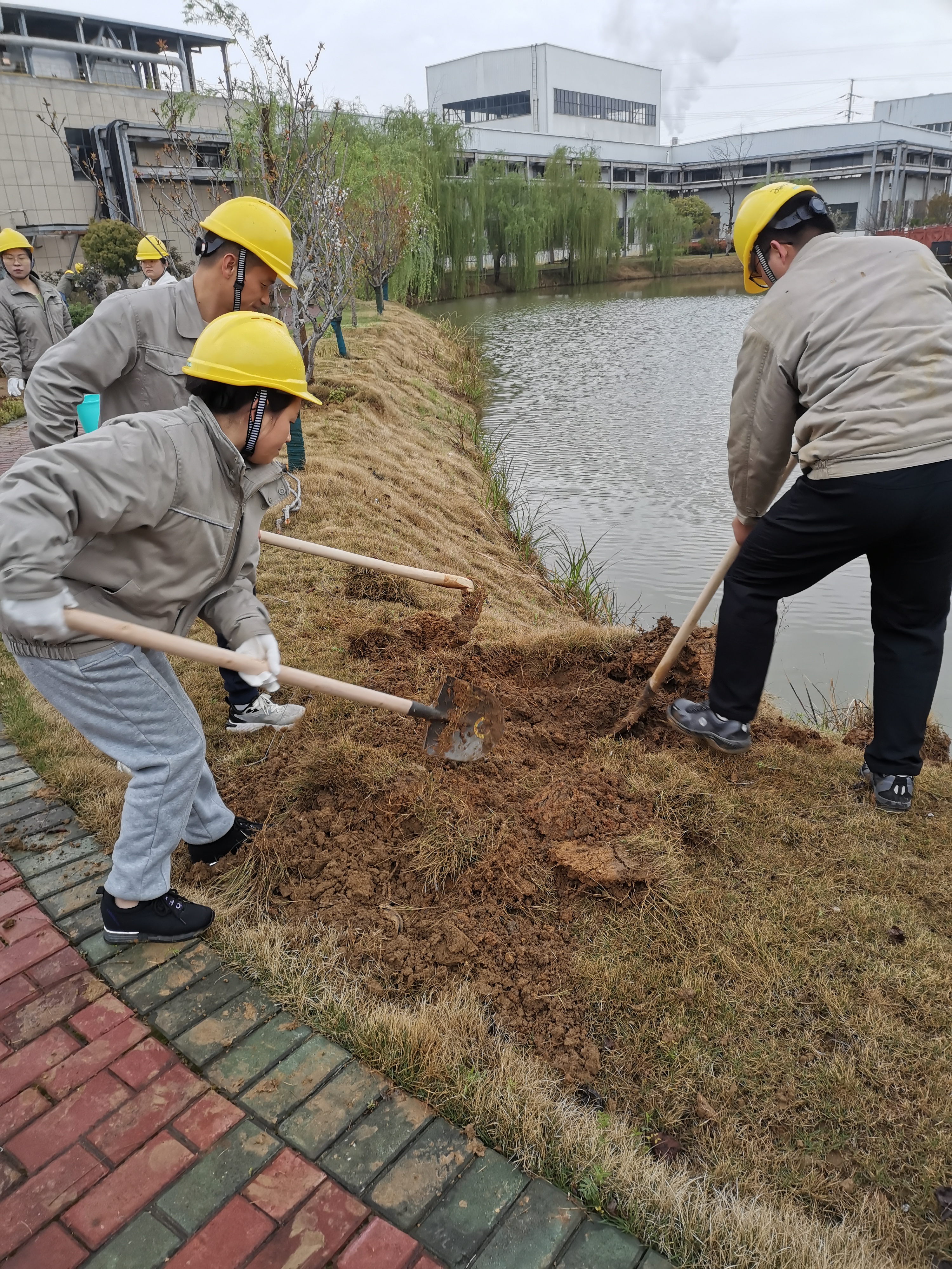 8233da87491707a1dc71d3f29caafc87